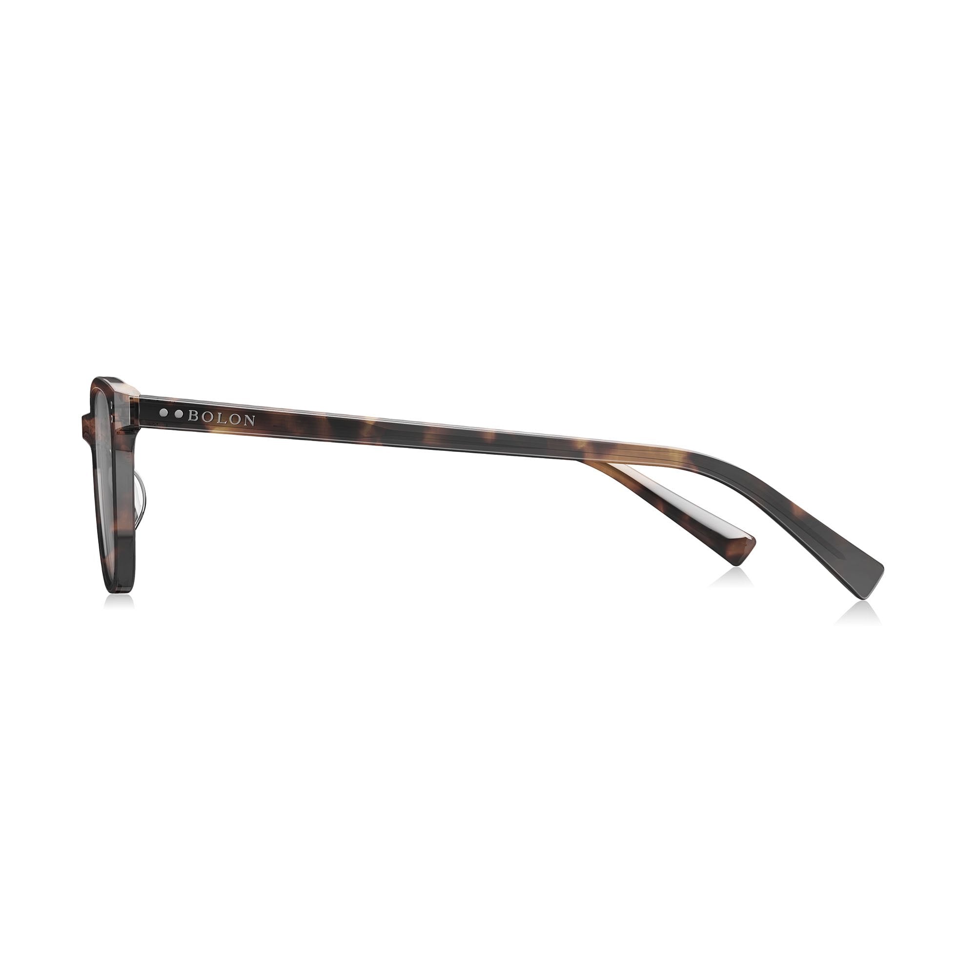 Tortoiseshell