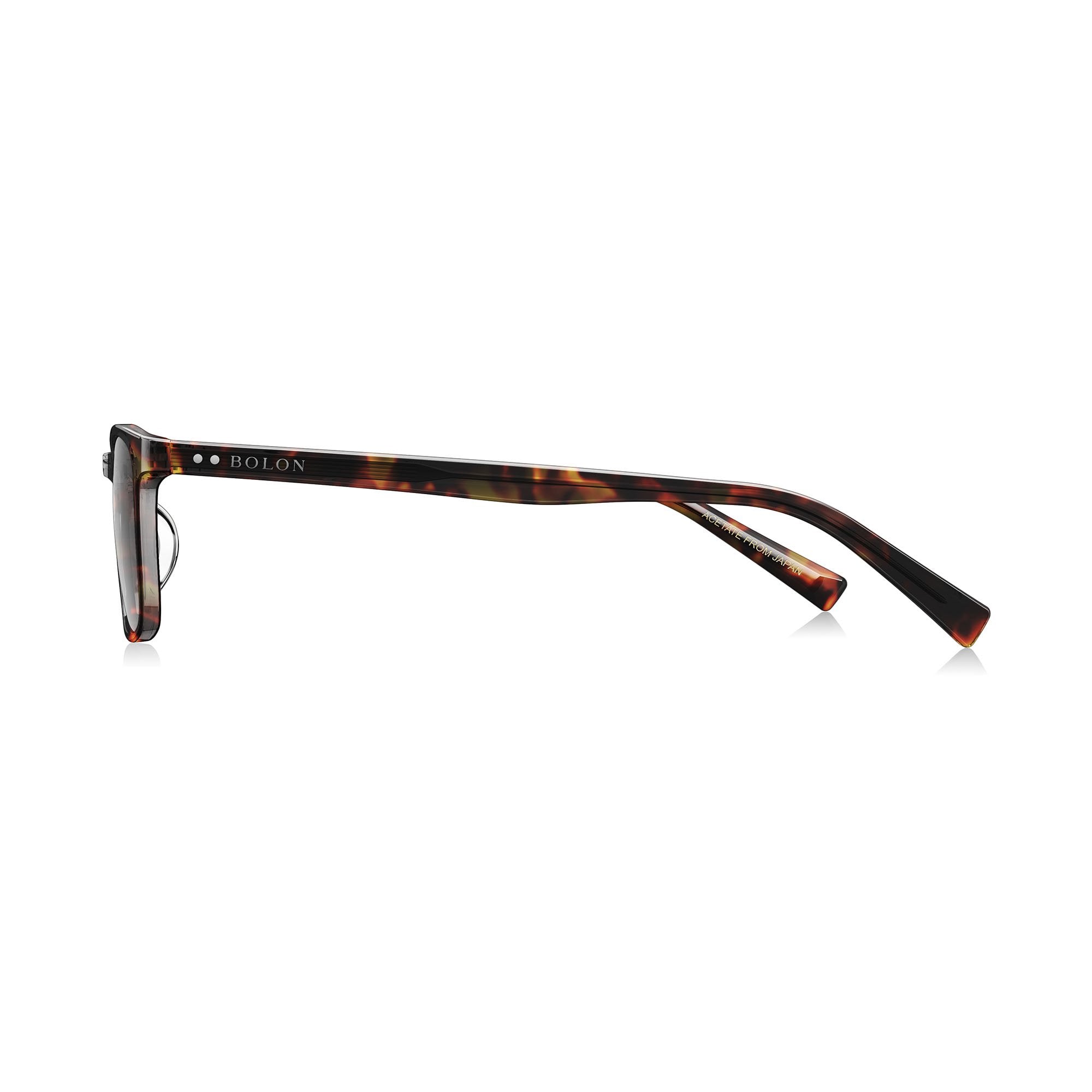 Tortoiseshell